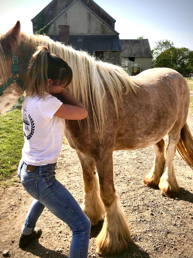 b0e051_9c75f8014a074b9a8ad7dbb83d8cb13c~mv2