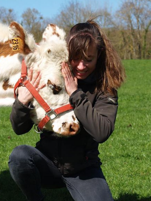 b0e051_b1ab8fb768174d18a17d5220c87b30c4~mv2