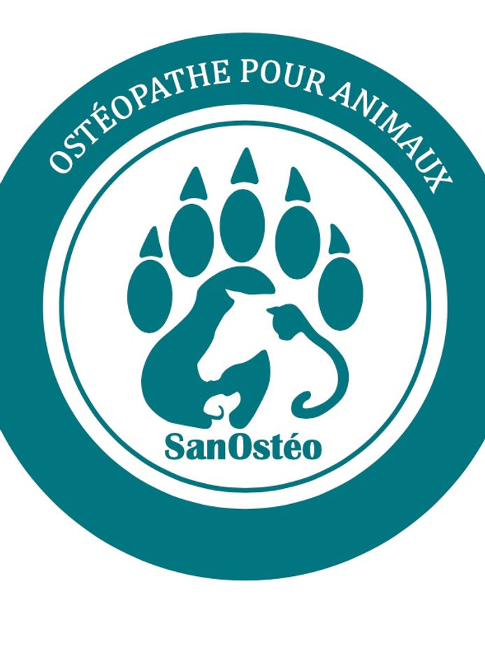 b0e051_e16e98d7728f45b38fa02c81478f2ce1~mv2